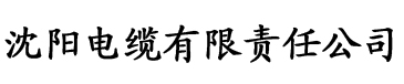 神马影院午夜香蕉电缆厂logo